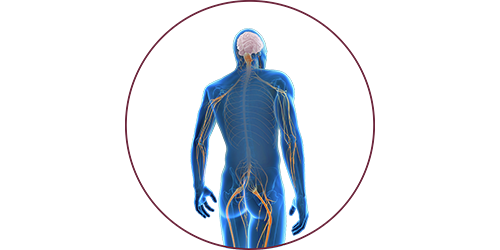 FES bei Nervenschädigung | STIWELL® Neurorehabilitation